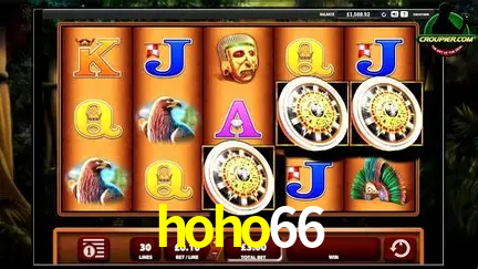 Live Casino hoho66